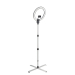 Daylight Aura Ring Lamp