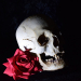 Opium Tattoo Gallery - Skulls and Roses Reference Photos USB by Filip Pasieka