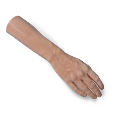 A Pound of Flesh Right Hand + Lower Arm