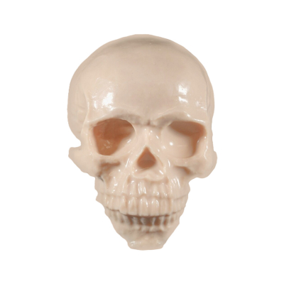 Reelskin Synthetic Tattooable Skull